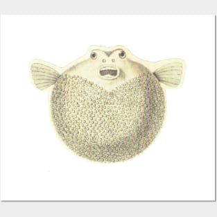 Vintage Pufferfish Posters and Art